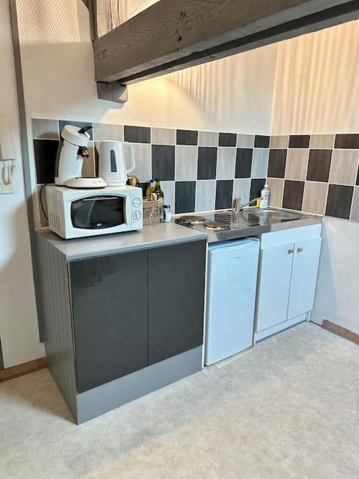 Calme Et Cosy -gare- Apartment